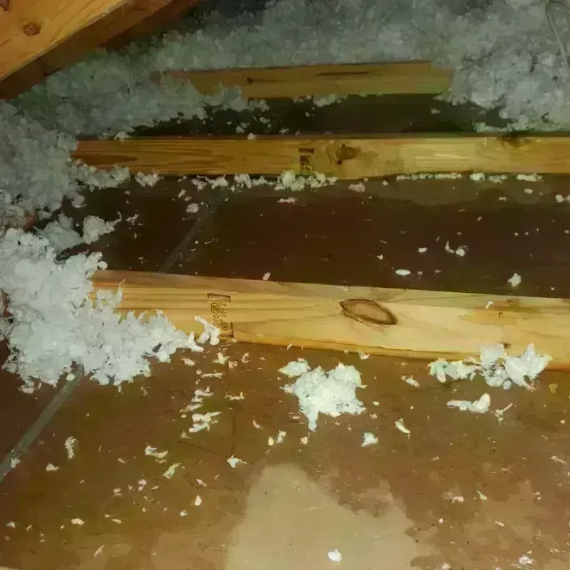 Attic Water Damage in Pleasant Hills, PA